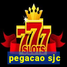 pegacao sjc